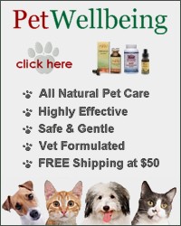 natural pet medicine