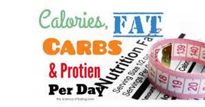 calories from protein carbohydrates and fat