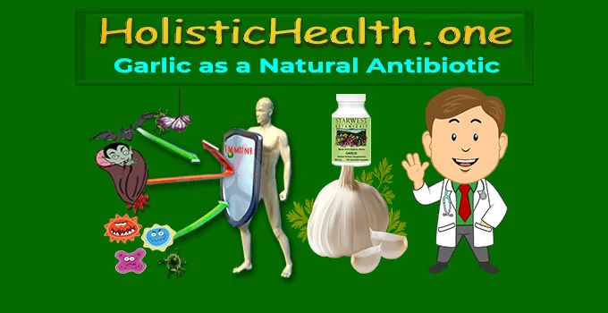 garlic as antibiotic