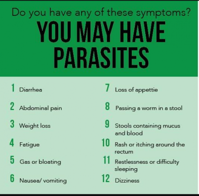 parasites in humans