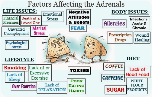 adrenal fatigue supplements
