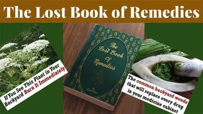 book of natural remedies