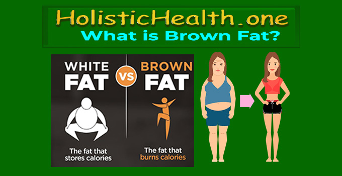 brown fat vs white fat
